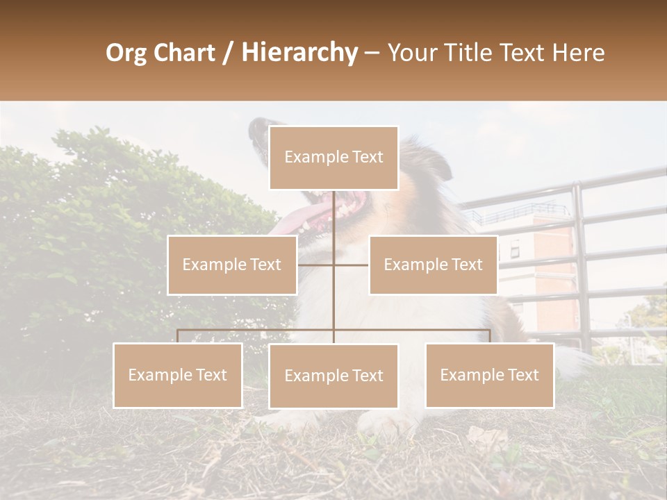 A Dog Is Sitting In The Grass With A Tennis Ball PowerPoint Template