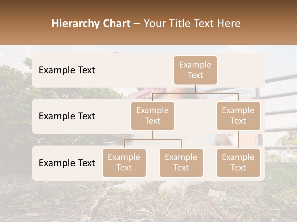 A Dog Is Sitting In The Grass With A Tennis Ball PowerPoint Template