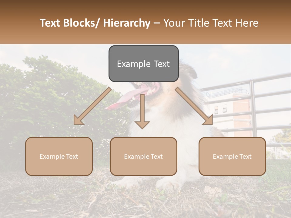 A Dog Is Sitting In The Grass With A Tennis Ball PowerPoint Template