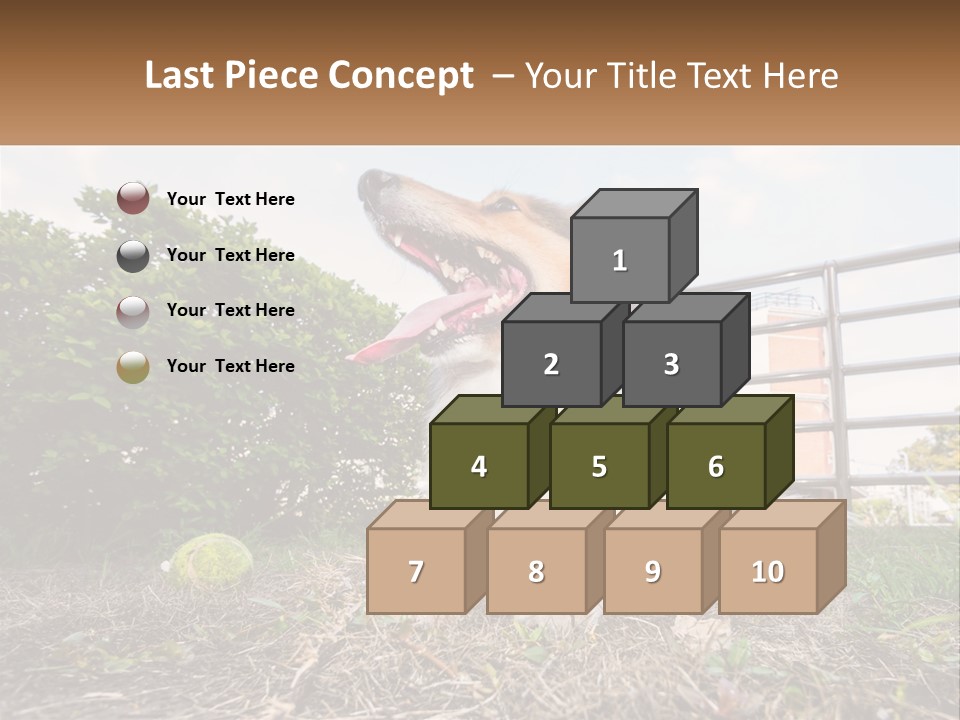 A Dog Is Sitting In The Grass With A Tennis Ball PowerPoint Template