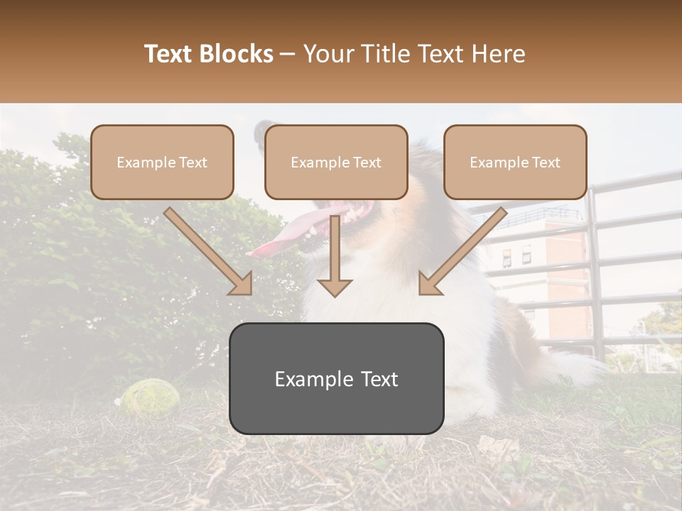A Dog Is Sitting In The Grass With A Tennis Ball PowerPoint Template