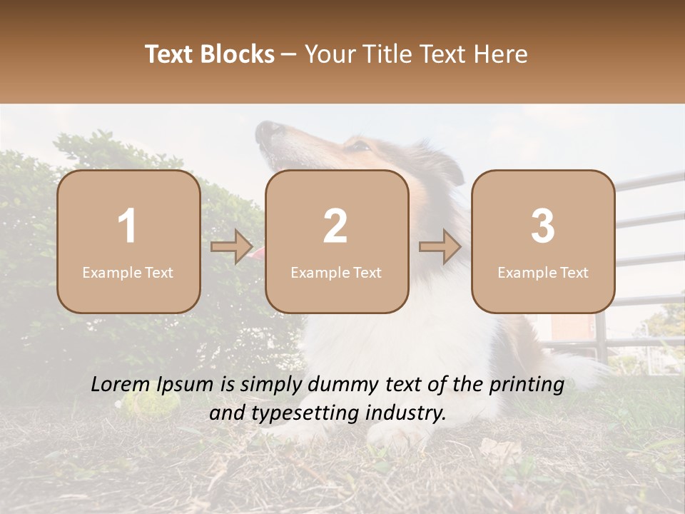 A Dog Is Sitting In The Grass With A Tennis Ball PowerPoint Template