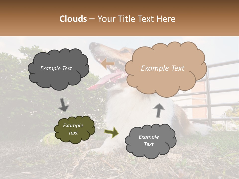 A Dog Is Sitting In The Grass With A Tennis Ball PowerPoint Template