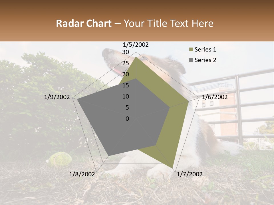 A Dog Is Sitting In The Grass With A Tennis Ball PowerPoint Template