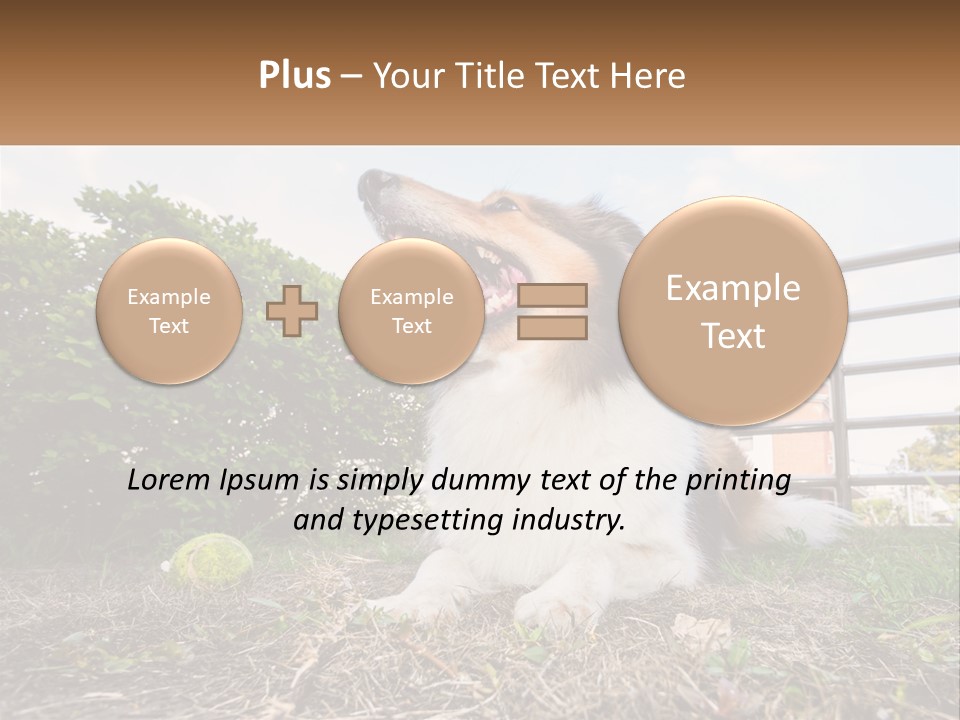 A Dog Is Sitting In The Grass With A Tennis Ball PowerPoint Template