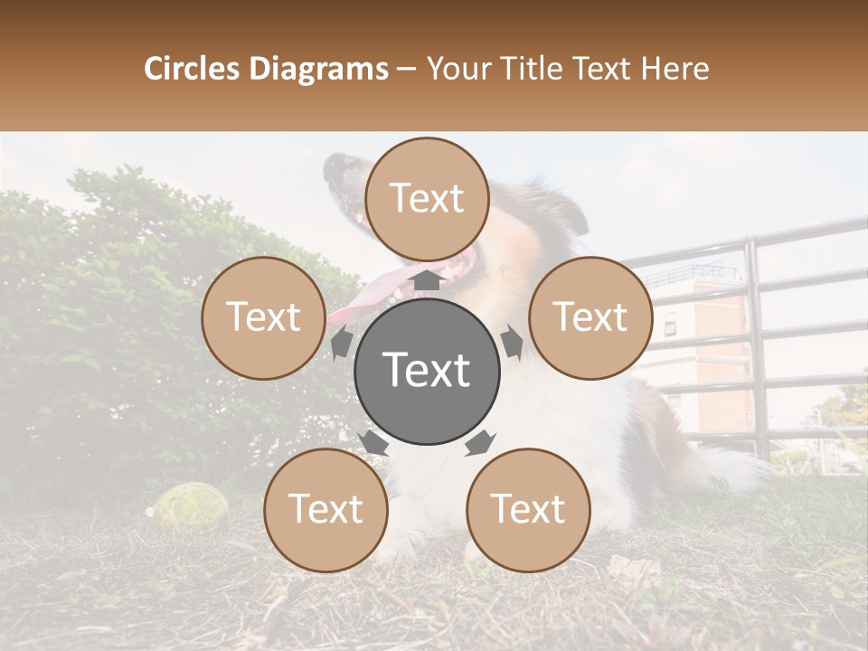 A Dog Is Sitting In The Grass With A Tennis Ball PowerPoint Template