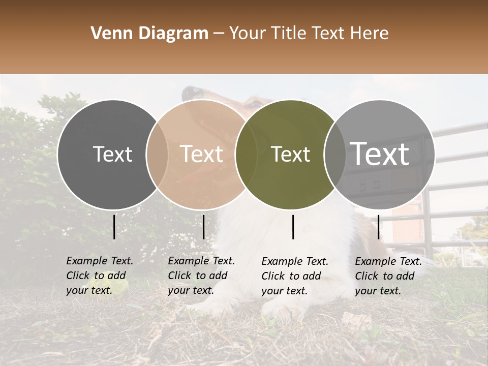 A Dog Is Sitting In The Grass With A Tennis Ball PowerPoint Template