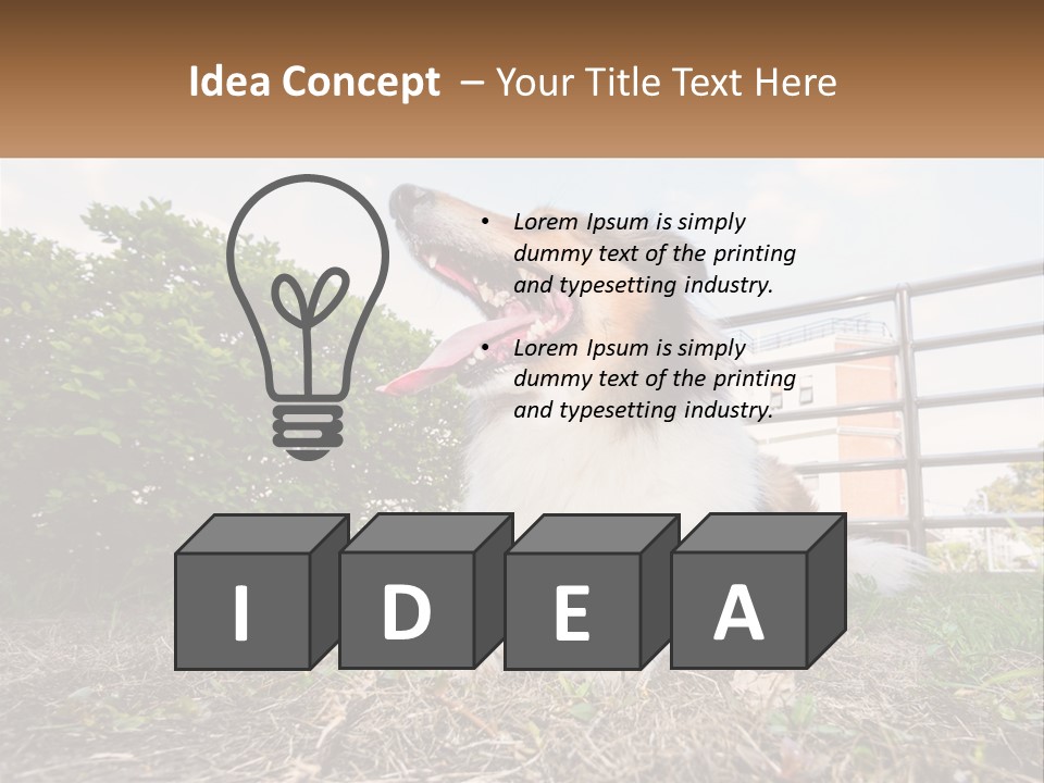 A Dog Is Sitting In The Grass With A Tennis Ball PowerPoint Template