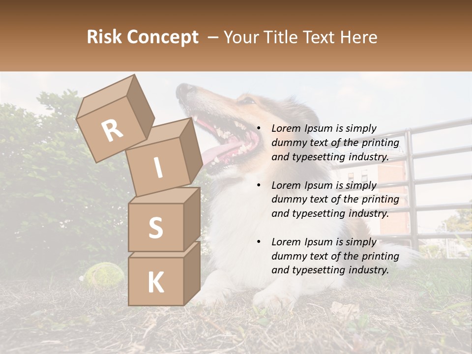 A Dog Is Sitting In The Grass With A Tennis Ball PowerPoint Template