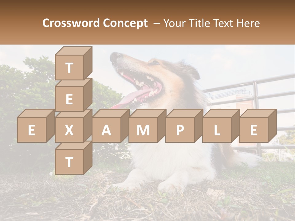 A Dog Is Sitting In The Grass With A Tennis Ball PowerPoint Template