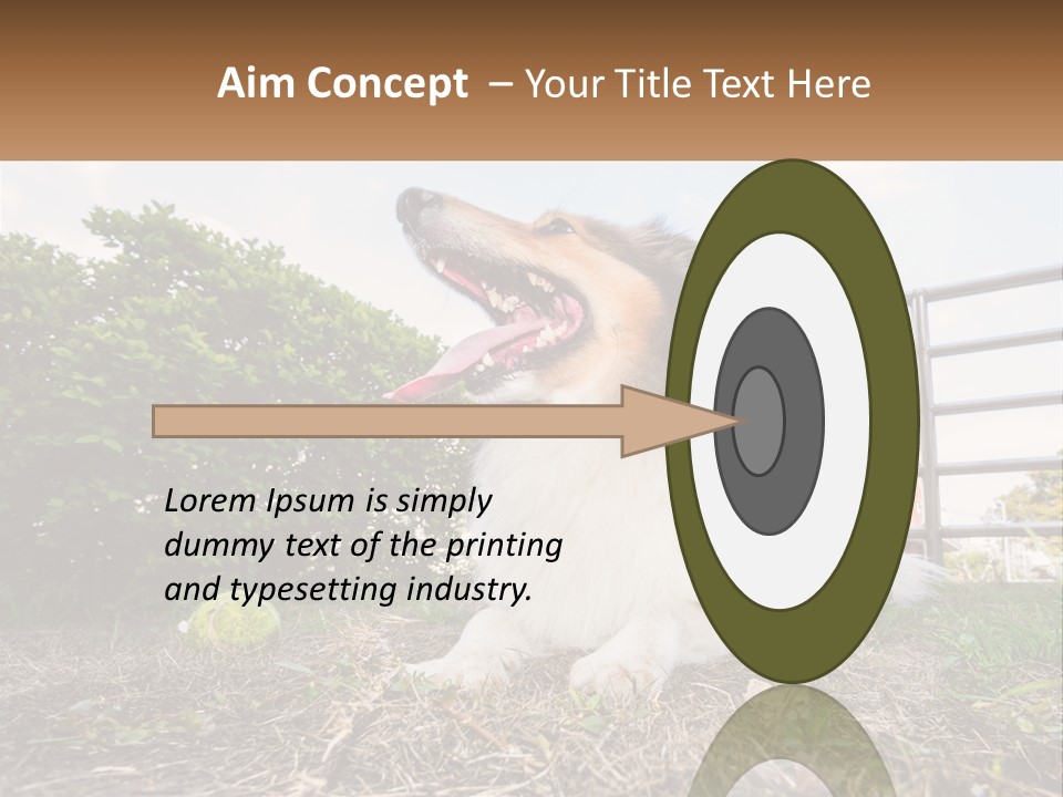 A Dog Is Sitting In The Grass With A Tennis Ball PowerPoint Template