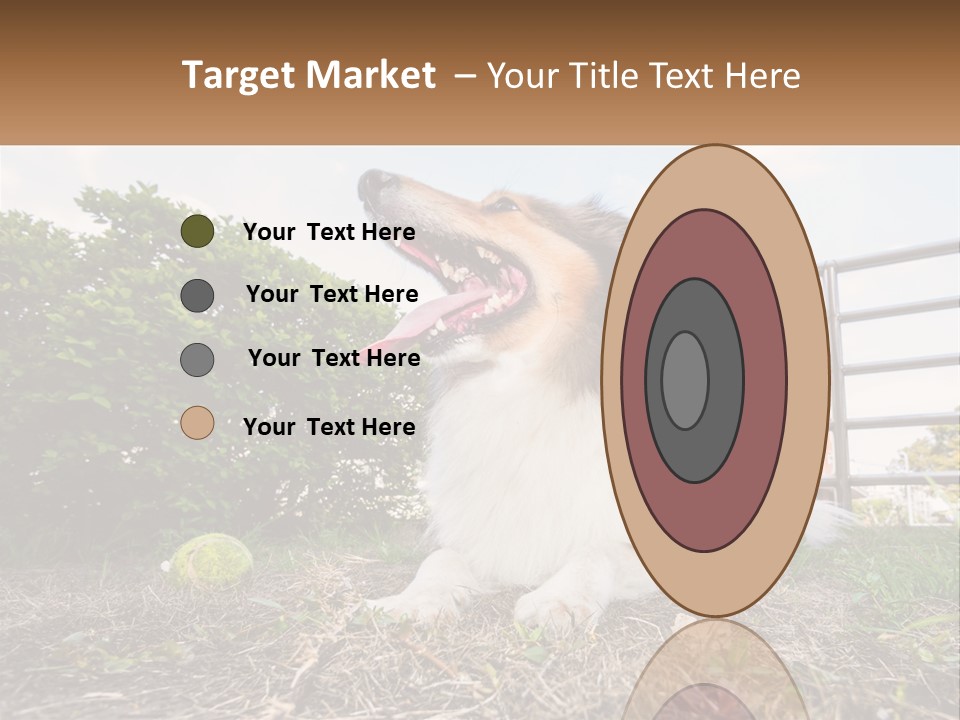 A Dog Is Sitting In The Grass With A Tennis Ball PowerPoint Template