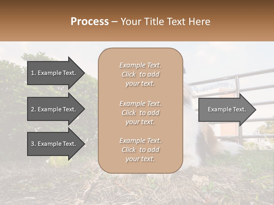 A Dog Is Sitting In The Grass With A Tennis Ball PowerPoint Template