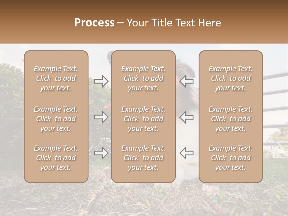 A Dog Is Sitting In The Grass With A Tennis Ball PowerPoint Template