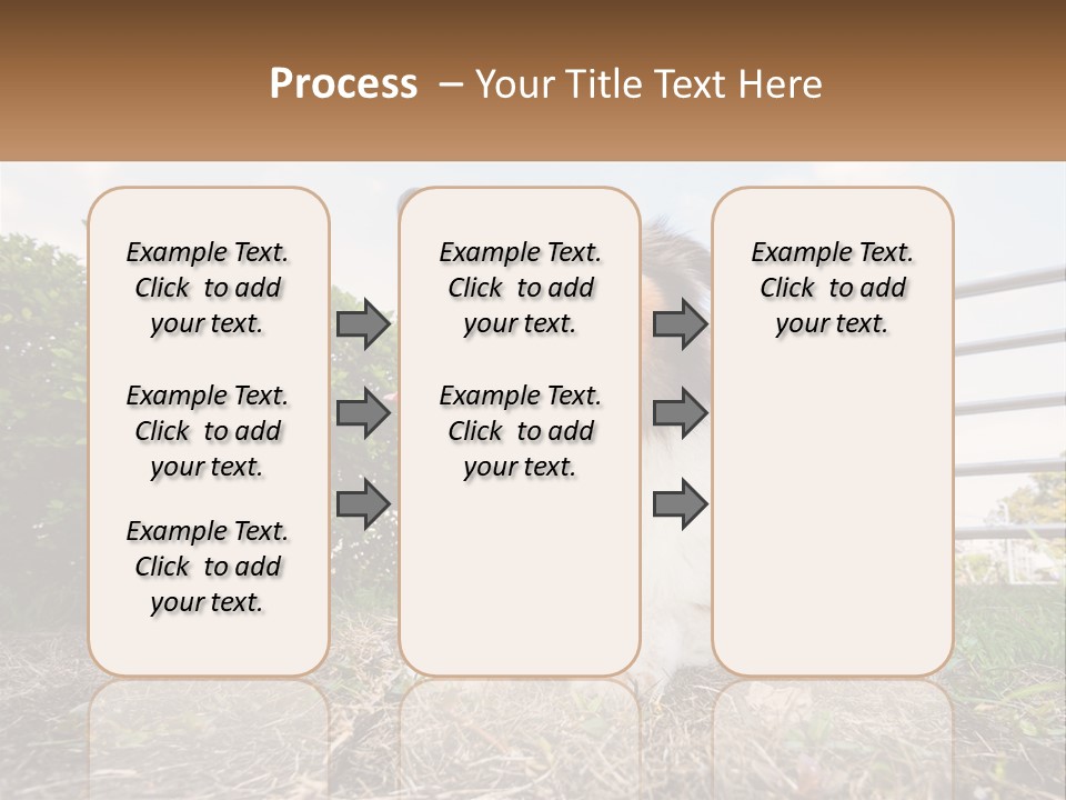 A Dog Is Sitting In The Grass With A Tennis Ball PowerPoint Template