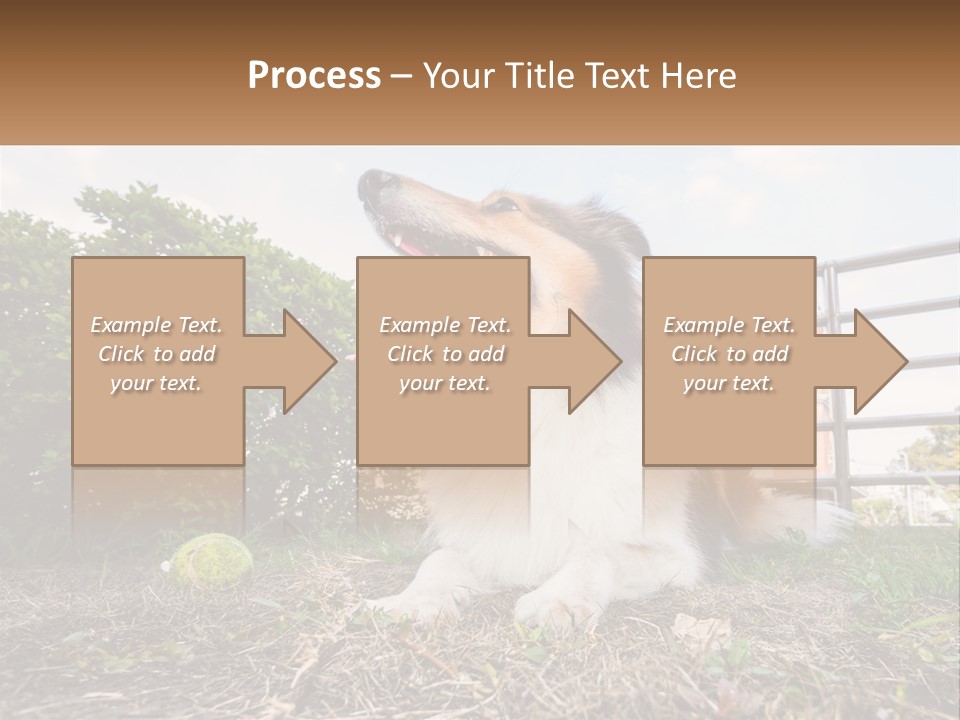 A Dog Is Sitting In The Grass With A Tennis Ball PowerPoint Template