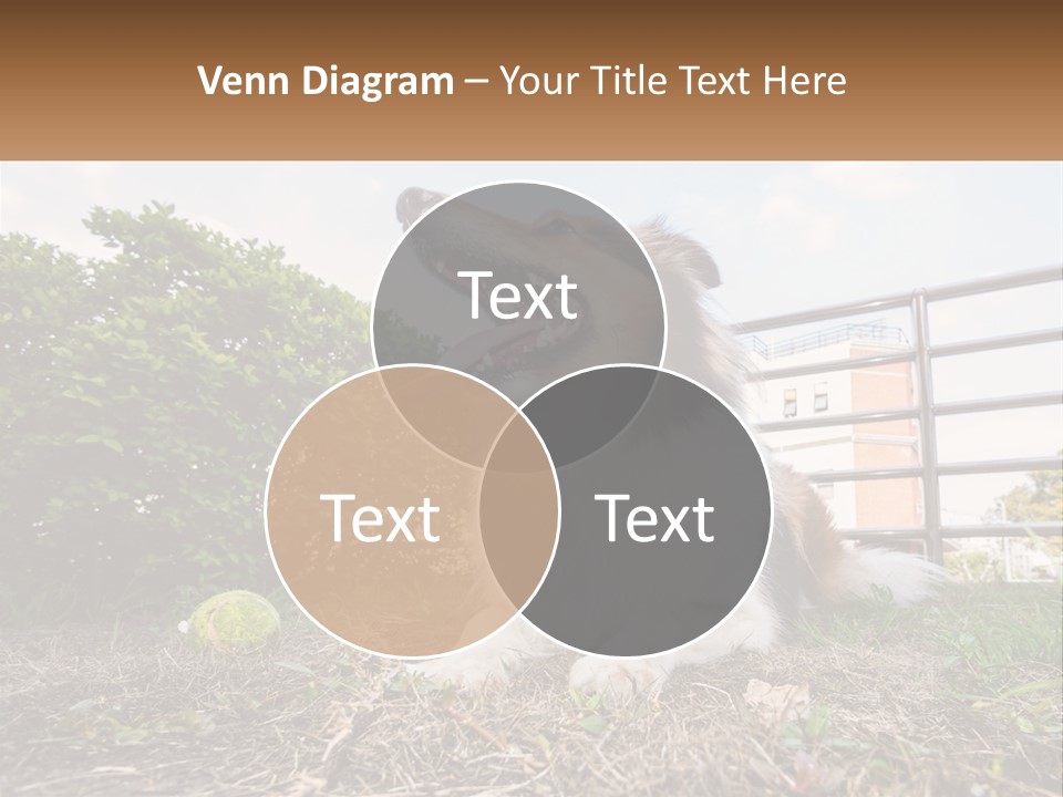 A Dog Is Sitting In The Grass With A Tennis Ball PowerPoint Template