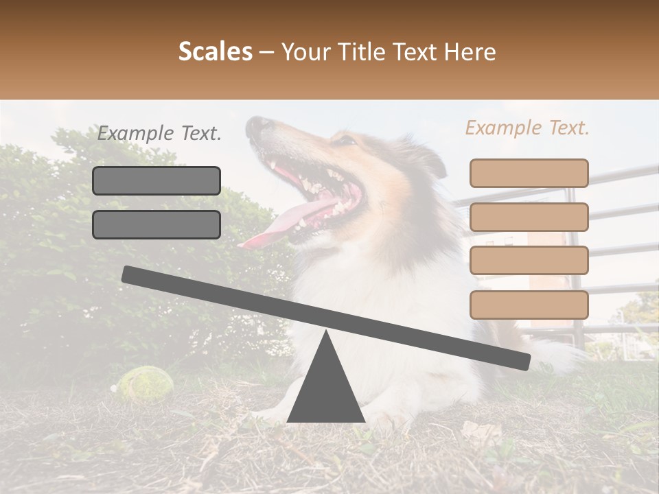 A Dog Is Sitting In The Grass With A Tennis Ball PowerPoint Template