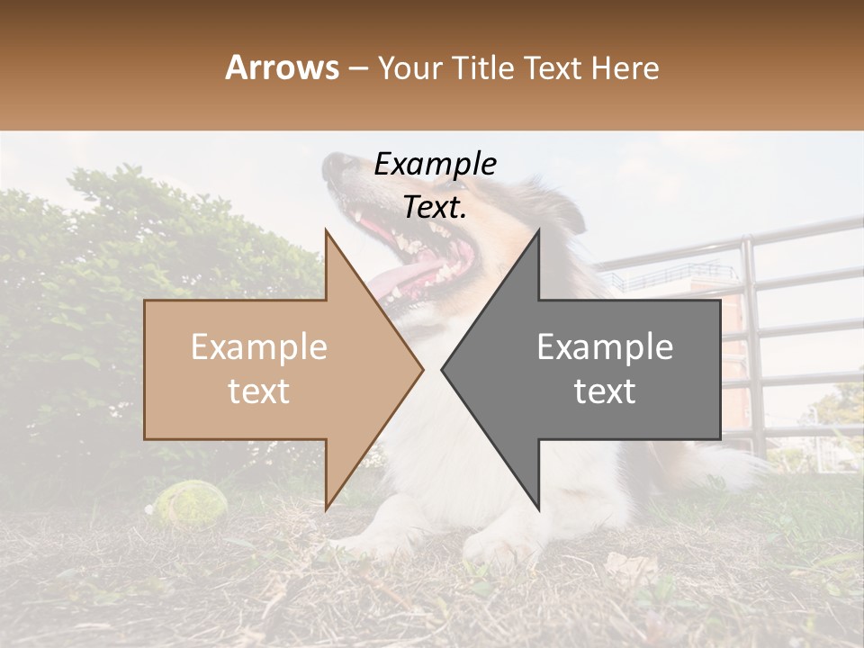 A Dog Is Sitting In The Grass With A Tennis Ball PowerPoint Template