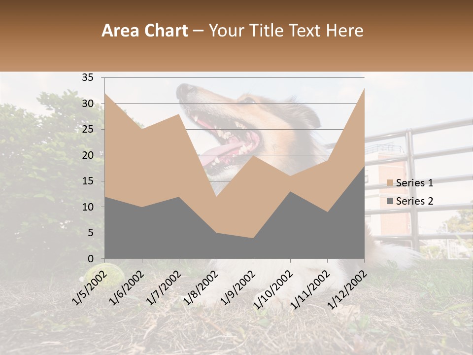 A Dog Is Sitting In The Grass With A Tennis Ball PowerPoint Template