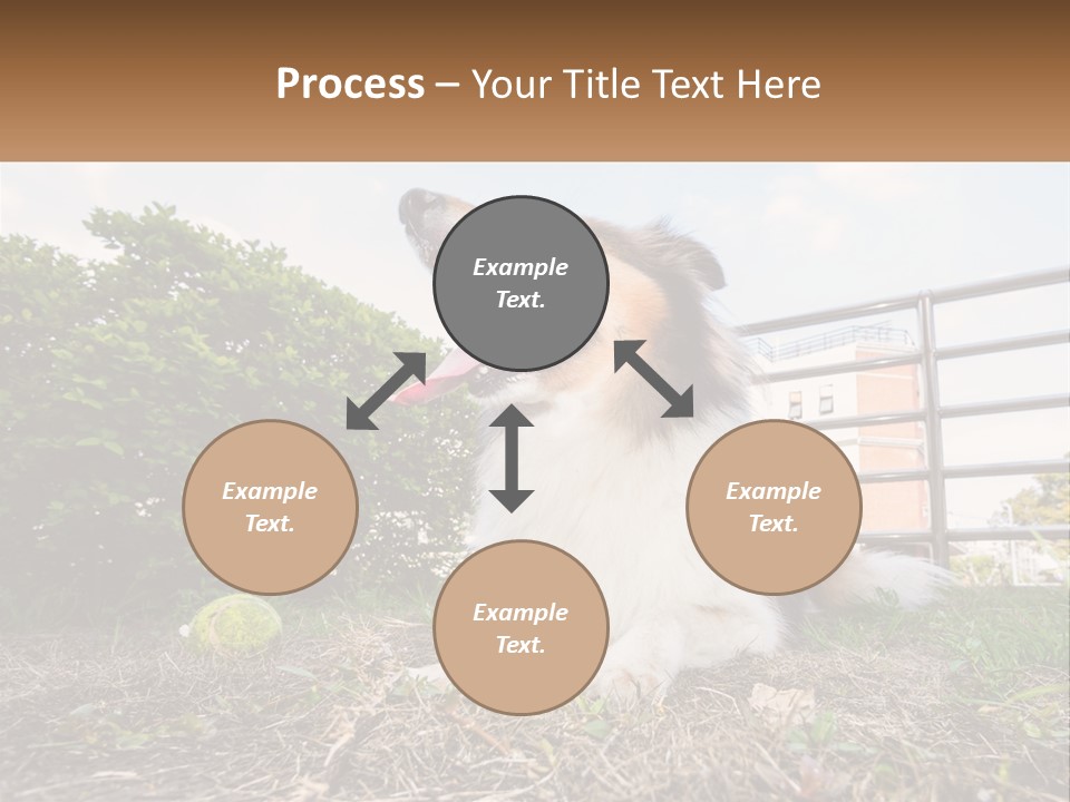 A Dog Is Sitting In The Grass With A Tennis Ball PowerPoint Template