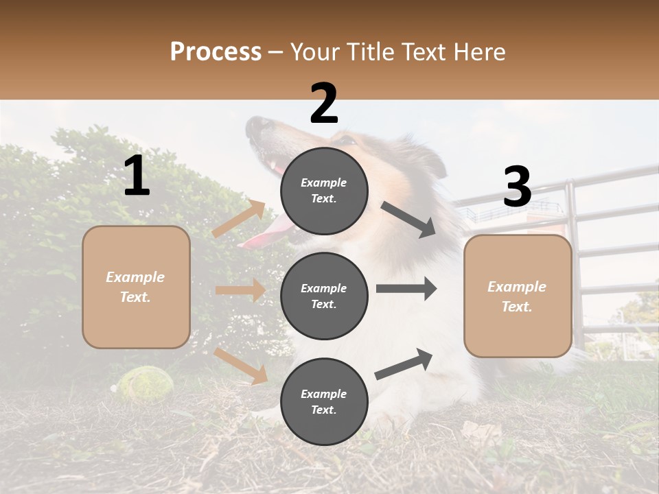 A Dog Is Sitting In The Grass With A Tennis Ball PowerPoint Template