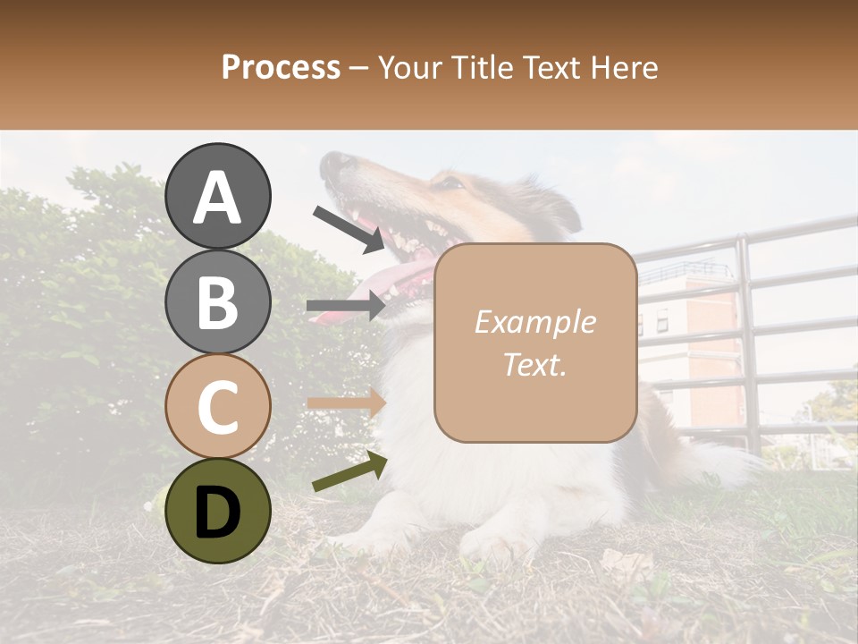 A Dog Is Sitting In The Grass With A Tennis Ball PowerPoint Template