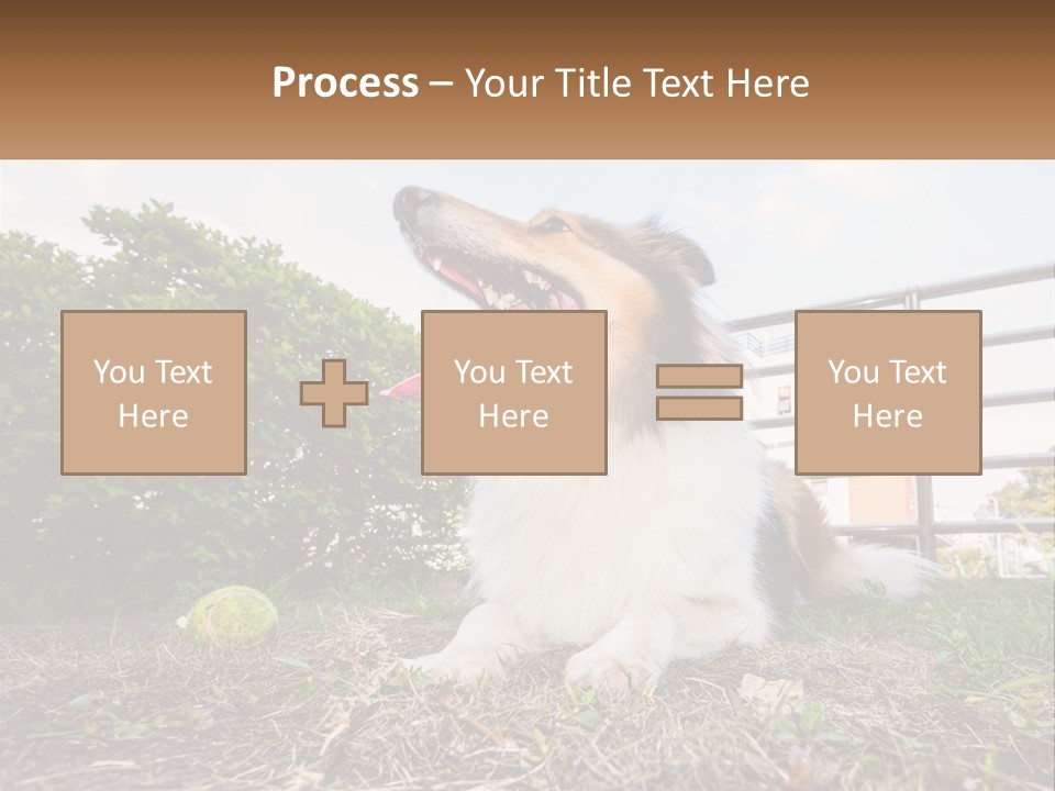 A Dog Is Sitting In The Grass With A Tennis Ball PowerPoint Template