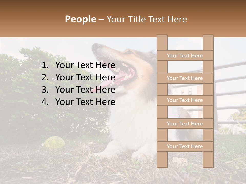 A Dog Is Sitting In The Grass With A Tennis Ball PowerPoint Template