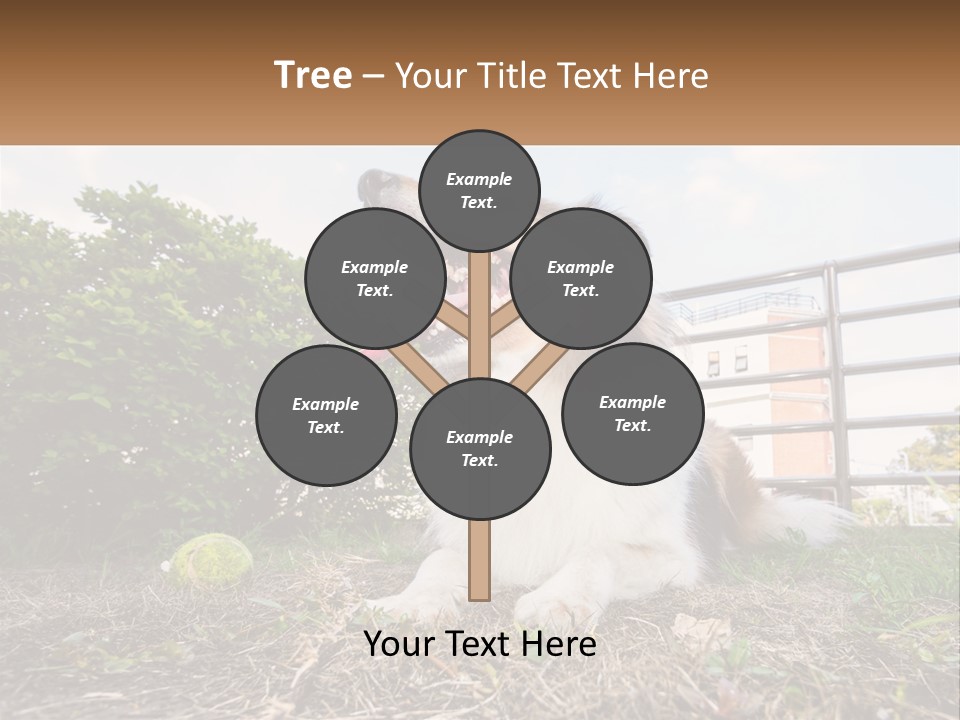 A Dog Is Sitting In The Grass With A Tennis Ball PowerPoint Template