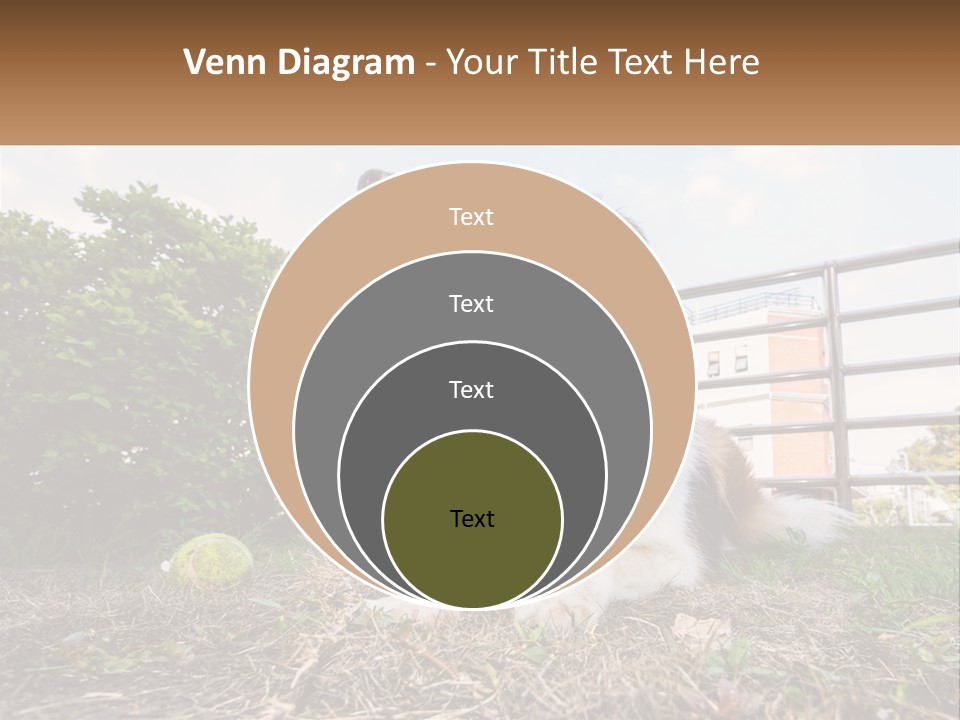 A Dog Is Sitting In The Grass With A Tennis Ball PowerPoint Template
