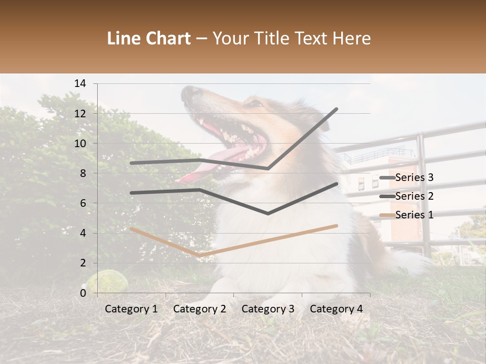 A Dog Is Sitting In The Grass With A Tennis Ball PowerPoint Template