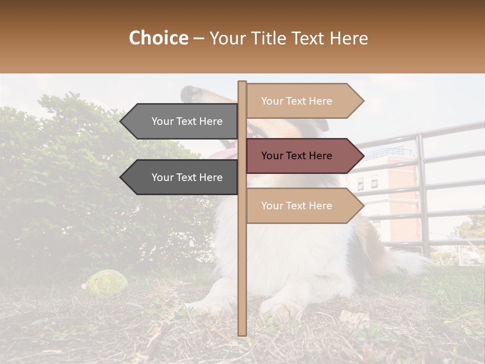 A Dog Is Sitting In The Grass With A Tennis Ball PowerPoint Template