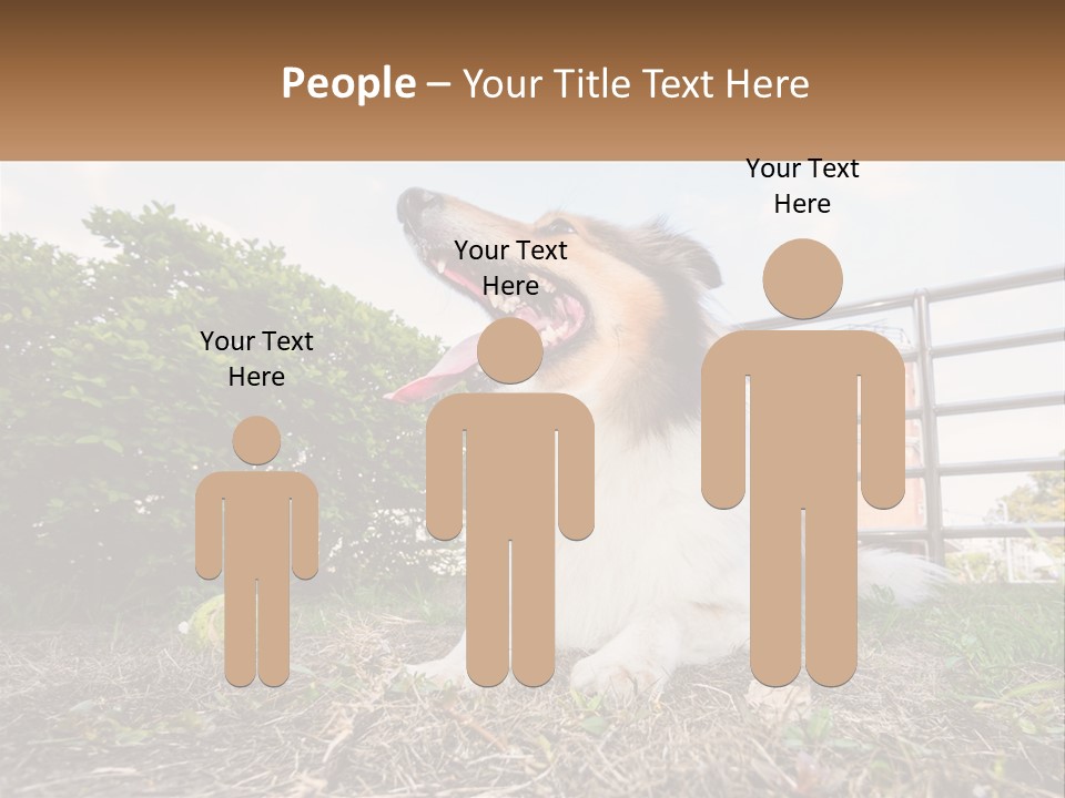 A Dog Is Sitting In The Grass With A Tennis Ball PowerPoint Template