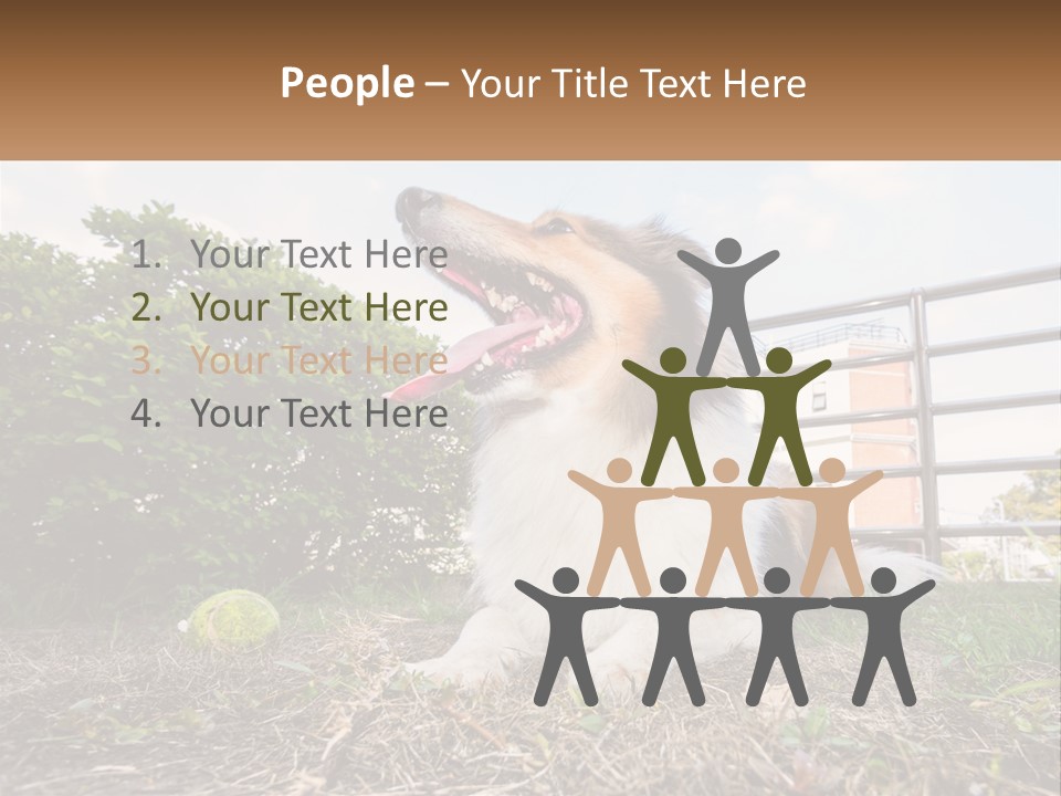 A Dog Is Sitting In The Grass With A Tennis Ball PowerPoint Template