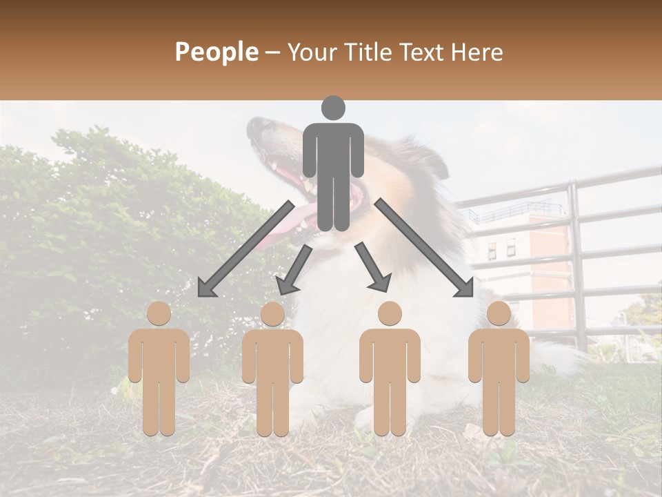 A Dog Is Sitting In The Grass With A Tennis Ball PowerPoint Template