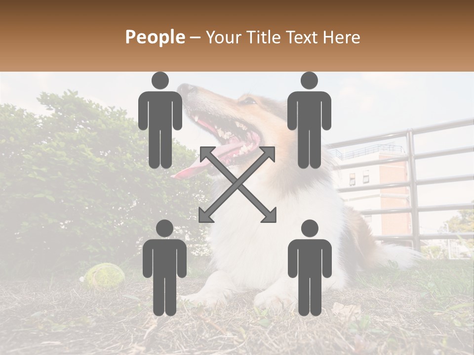 A Dog Is Sitting In The Grass With A Tennis Ball PowerPoint Template