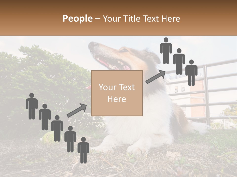 A Dog Is Sitting In The Grass With A Tennis Ball PowerPoint Template