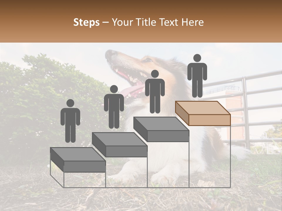 A Dog Is Sitting In The Grass With A Tennis Ball PowerPoint Template