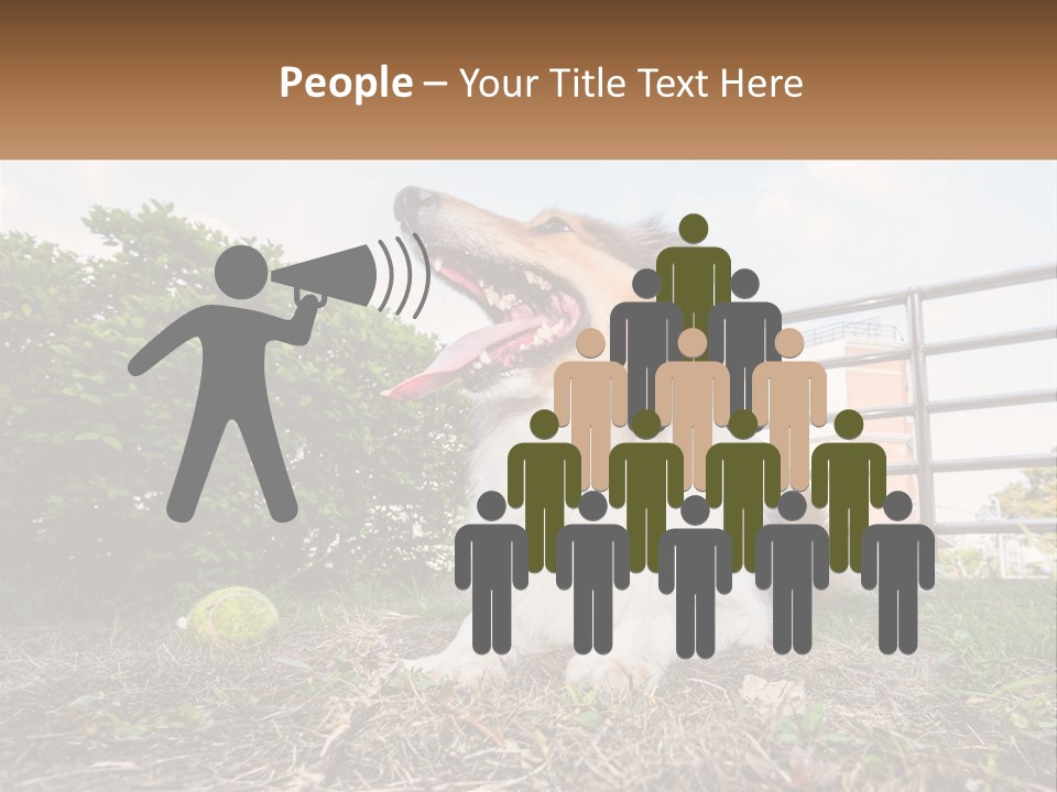 A Dog Is Sitting In The Grass With A Tennis Ball PowerPoint Template