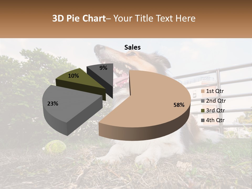A Dog Is Sitting In The Grass With A Tennis Ball PowerPoint Template