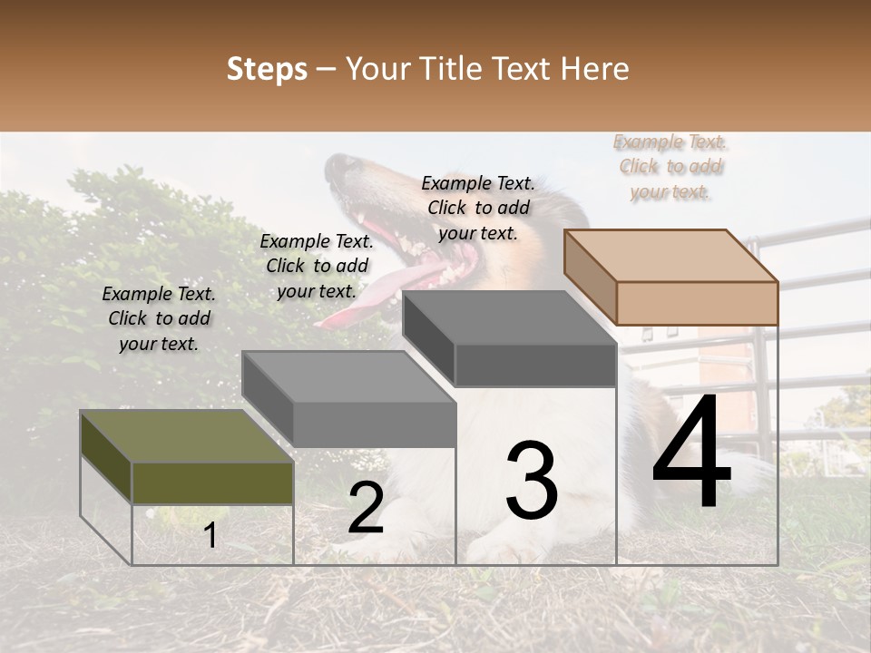 A Dog Is Sitting In The Grass With A Tennis Ball PowerPoint Template