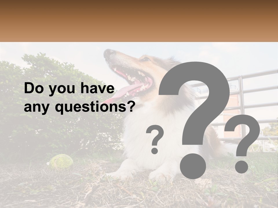 A Dog Is Sitting In The Grass With A Tennis Ball PowerPoint Template