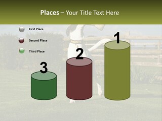 A Dog Jumping Up In The Air To Catch A Frisbee PowerPoint Template