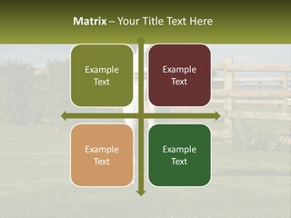 A Dog Jumping Up In The Air To Catch A Frisbee PowerPoint Template