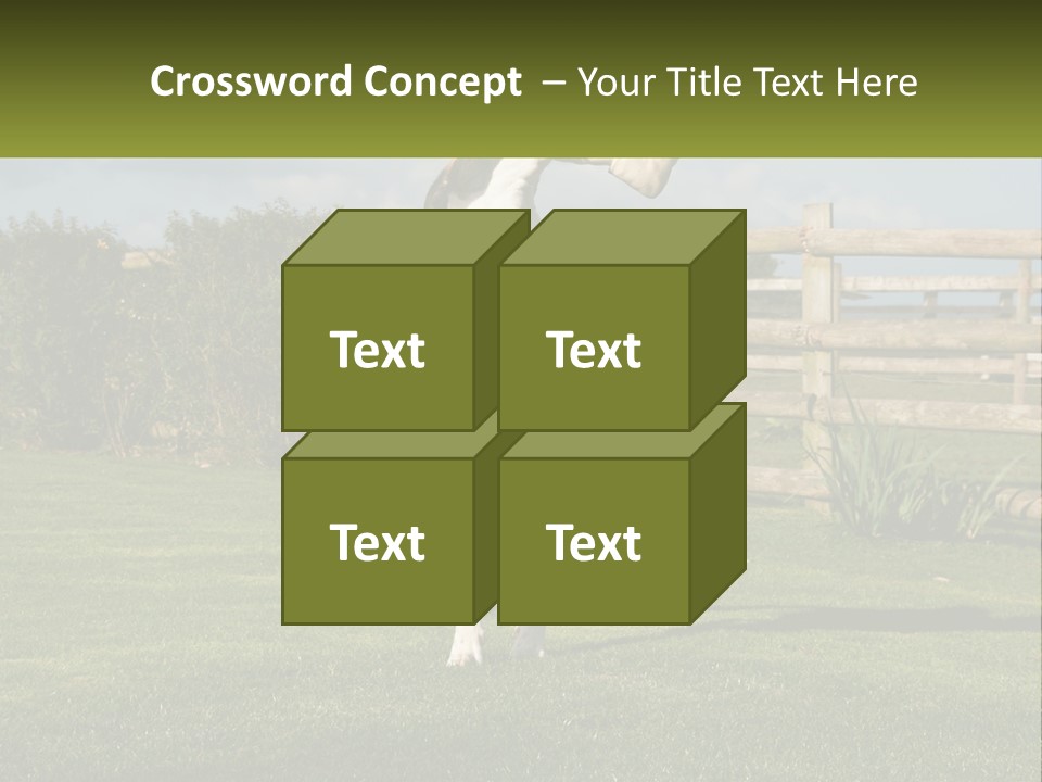 A Dog Jumping Up In The Air To Catch A Frisbee PowerPoint Template