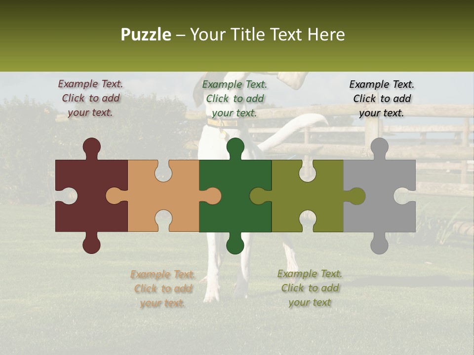 A Dog Jumping Up In The Air To Catch A Frisbee PowerPoint Template