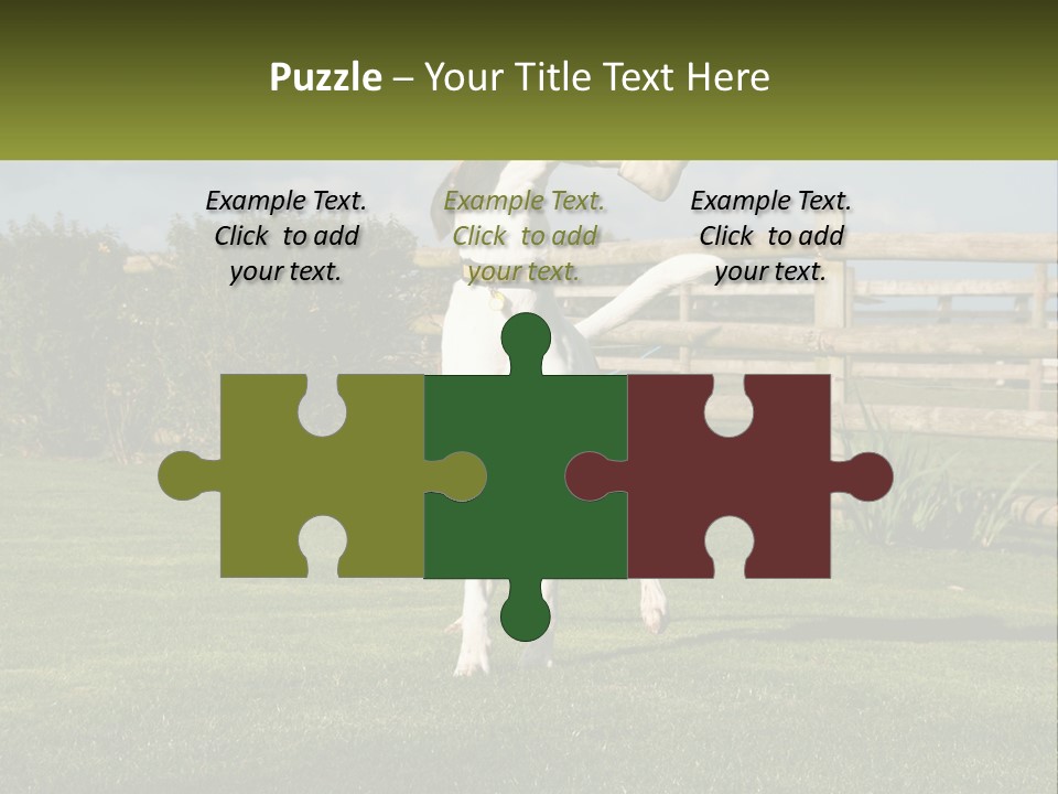 A Dog Jumping Up In The Air To Catch A Frisbee PowerPoint Template