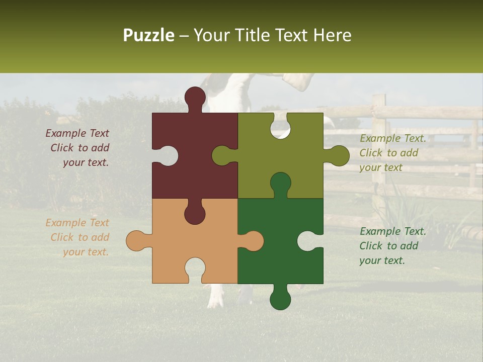 A Dog Jumping Up In The Air To Catch A Frisbee PowerPoint Template