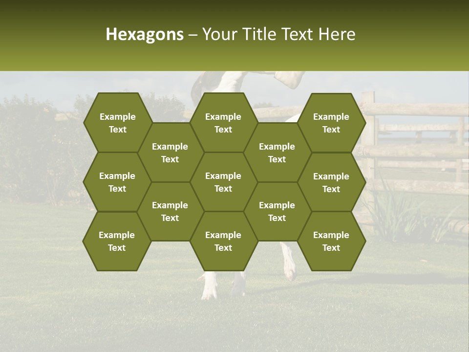 A Dog Jumping Up In The Air To Catch A Frisbee PowerPoint Template